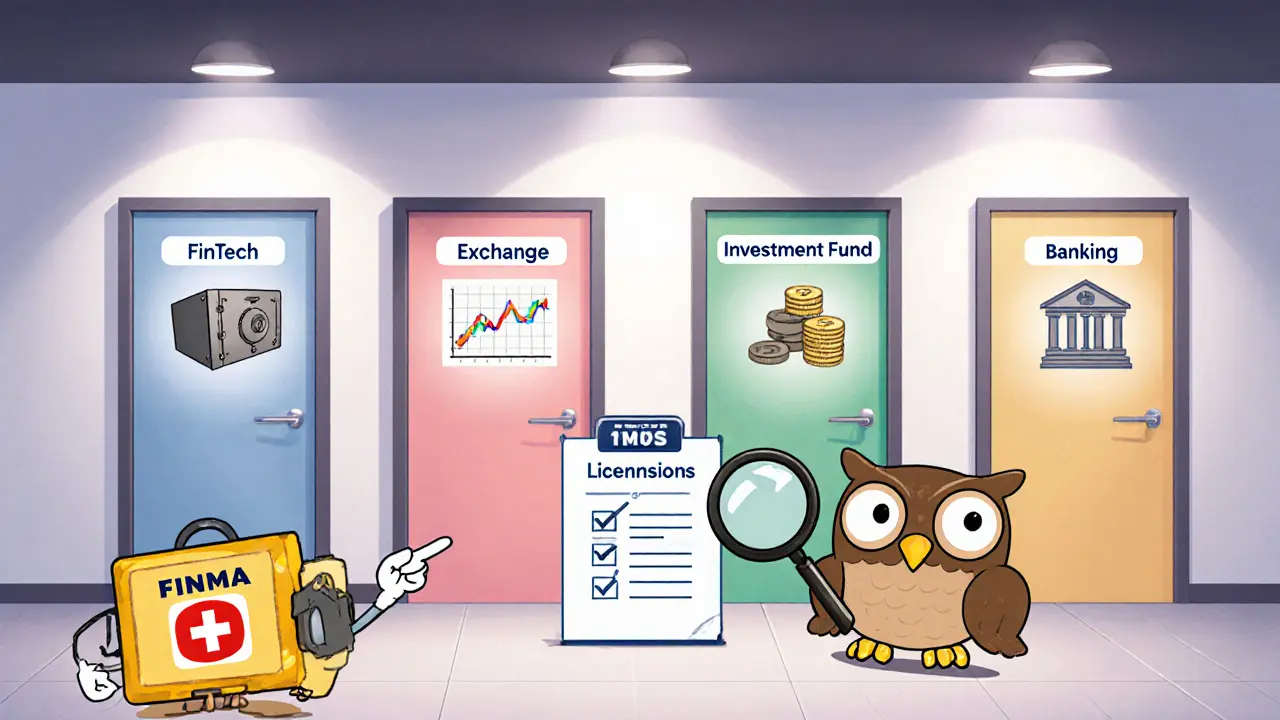 Four cartoon doors showing FinTech, Exchange, Fund, and Banking licences.