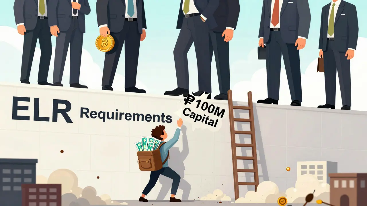 A small business owner struggles to climb a wall of requirements while wealthy giants float above.